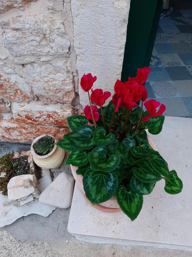 Casa Porta Verde Bale Bagian luar foto